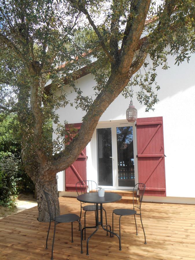 Maysoe Chambres D'Hotes Vieux-Boucau-les-Bains Luaran gambar