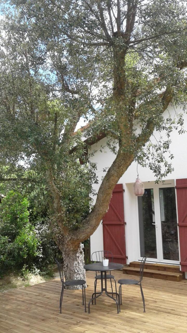 Maysoe Chambres D'Hotes Vieux-Boucau-les-Bains Luaran gambar